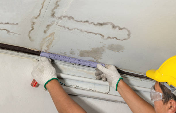 Reliable Mold Remediation contractor in Bridgewater, MA by Local Water Damage Repair